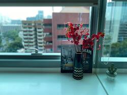 Alba (D9), Apartment #486596301
